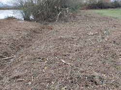 Broyage du champ batardeau