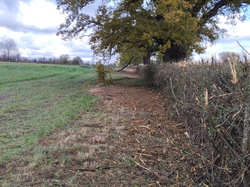 Broyage du champ batardeau