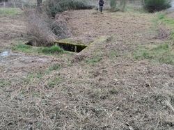 entretien etang des vernes