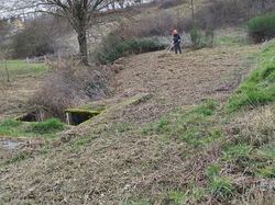 entretien etang des vernes