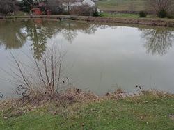 EPOISSONNEMENT TRUITES