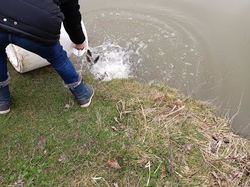 EPOISSONNEMENT TRUITES