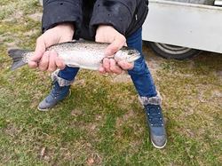 EPOISSONNEMENT TRUITES