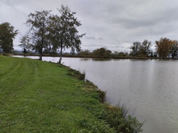 Nettoyage de l'étang batardeau