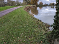 Nettoyage de l'étang batardeau
