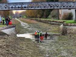 Pêche électrique canal Roanne à Digoin
